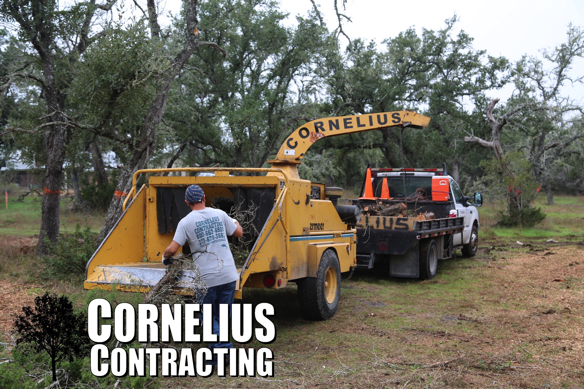 A short description about the picture goes here