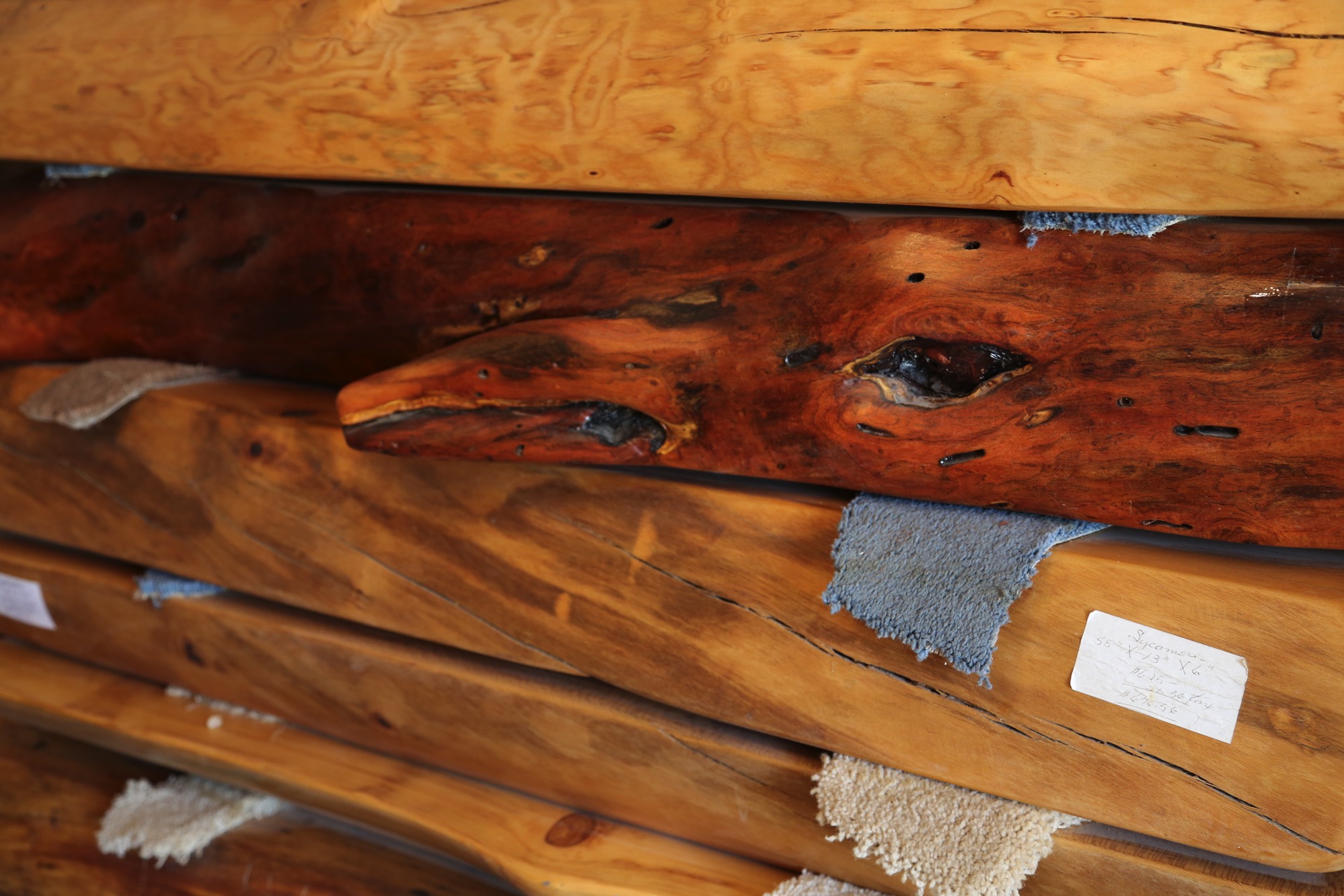 A short description about the picture goes here