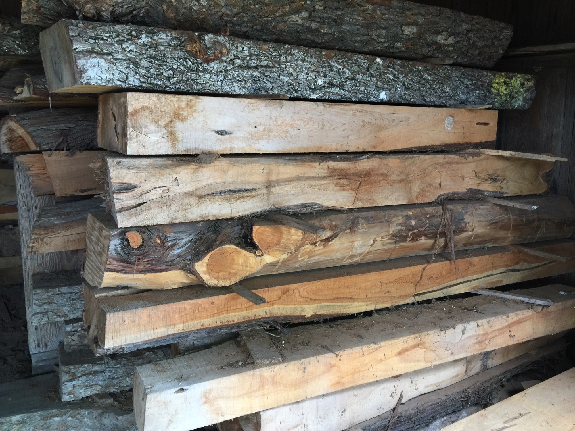 A short description about the picture goes here